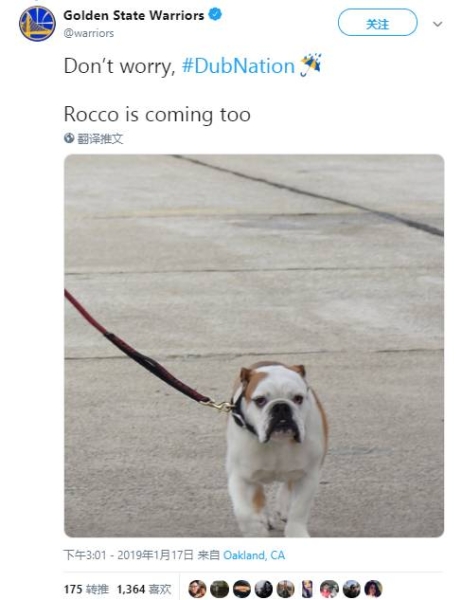 ❤克莱的另一半🐶回顾那些年我们一起撸过的Rocco~