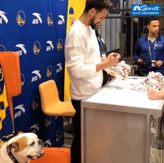 ❤克莱的另一半🐶回顾那些年我们一起撸过的Rocco~